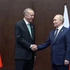 Tổng thống Nga Vladimir Putin (phải) và Tổng thống Thổ Nhĩ Kỳ Tayyip Erdogan tại cuộc gặp ở Astana, Kazakhstan, ngày 13/10/2022. (Ảnh: AFP/TTXVN)