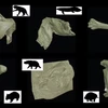 Sáu mô hình kỹ thuật số của các mẫu hóa thạch được quét từ bảo tàng. (Nguồn: Theconversation)