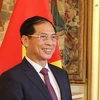 Bộ trưởng Bộ Ngoại giao Bùi Thanh Sơn. (Ảnh: Thu Hà/TTXVN)