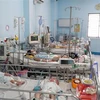Khoa Nhiễm-Thần kinh, Bệnh viện Nhi đồng 1 Thành phố Hồ Chí Minh điều trị cho nhiều trẻ em mắc bệnh tay chân miệng. (Ảnh: TTXVN phát)