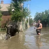 Cảnh ngập lụt sau vụ vỡ đập thủy điện Kakhovka tại tỉnh Kherson, miền Nam Ukraine, ngày 6/6/2023. (Ảnh: Kyodo/TTXVN)