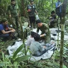 Cận cảnh giải cứu 4 em nhỏ lạc trong rừng rậm Amazon suốt 40 ngày