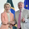 Tổng thống Brazil Inacio Lula da Silva (phải) và Chủ tịch EC Ursula von der Leyen tại cuộc gặp ở Brasilia ngày 12/6/2023. (Ảnh: AFP/TTXVN)