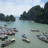 Vịnh Hạ Long nằm ở vị trí đầu tiên trong Top16 di sản UNESCO ấn tượng nhất Đông Nam Á. (Ảnh: Bích Hằng/Vietnam+)
