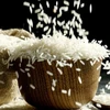 UAE áp đặt lệnh cấm xuất khẩu và tái xuất khẩu gạo trong 4 tháng