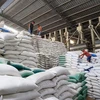 Kho gạo xuất khẩu đi Philippines, Trung Quốc tại Công ty TNHH Dương Vũ, huyện Thủ Thừa, tỉnh Long An. (Ảnh: Hồng Đạt/TTXVN)