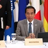 Tổng thống Indonesia Joko Widodo. (Ảnh: AFP/TTXVN)