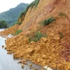 Lào Cai: Mưa lớn khiến nước lũ dâng cao gây nhiều thiệt hại 