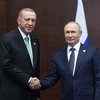 Lãnh đạo Nga-Thổ Nhĩ Kỳ sắp hội đàm về Thỏa thuận Ngũ cốc Biển Đen