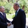 Nga và Thổ Nhĩ Kỳ đẩy mạnh hợp tác trong lĩnh vực khí đốt tự nhiên