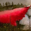 Mỹ: Công nghệ AI giúp ngăn ngừa thảm họa cháy rừng ở California