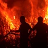 Indonesia: Cháy than bùn dữ dội trên đảo Sumatra suốt 2 tuần