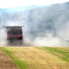 Ukraine đệ đơn lên WTO kiện 3 nước Đông Âu cấm nhập khẩu ngũ cốc