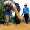 Nhu cầu từ thị trường Indonesia đẩy giá gạo của Việt Nam tăng cao