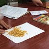 Lạng Sơn: Bắt 10 đối tượng đánh bạc dưới hình thức “gạt hạt ngô”