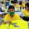 Công nhân dệt may Công ty TNHH May mặc Dony, xã Vĩnh Lộc A, huyện Bình Chánh, Thành phố Hồ Chí Minh. (Ảnh: Hồng Đạt/TTXVN)