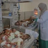 Nhân viên y tế chăm sóc các em bé sinh non được sơ tán từ bệnh viện Al Shifa tới bệnh viện ở Rafah, Dải Gaza, ngày 19/11/2023. (Ảnh: THX/TTXVN)