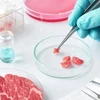 Thịt được nuôi trong phòng thí nghiệm. (Nguồn: Shutterstock)
