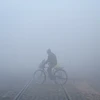 Sương mù dày đặc tại Amritsar, Ấn Độ. (Ảnh: AFP/TTXVN)