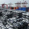 Xe ôtô chạy bằng năng lượng mới chờ xuất khẩu tại khu cảng ở thành phố Thái Thương thuộc Tô Châu, tỉnh Giang Tô, Trung Quốc. (Ảnh: THX/TTXVN)