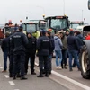 Nông dân Bỉ biểu tình chặn lối vào cảng Zeebrugge. (Nguồn: Shutterstock)