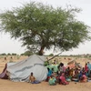 Người tị nạn Sudan tại Koufroun, gần Echbara, CH Chad ngày 1/5/2023. (Ảnh: AFP/TTXVN)