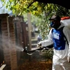Nhân viên y tế phun kử trùng để ngăn chặn sự lây lan của bệnh sốt xuất huyết ở thủ đô Buenos Aires. (Ảnh: Reuters)