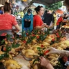 Sản phẩm gà cúng tại chợ Hàng Bè nổi tiếng vì chất lượng và mẫu mã đẹp. (Ảnh: Tuấn Anh/TTXVN)