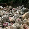 Cơ quan Công an phát hiện hơn 400 tấn đá thạch anh thô tại bãi tập kết đá. (Ảnh: Truyền hình Nghệ An)