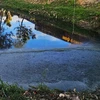 Dòng nước đen kịt và ngập rác tại Hồ Đội Có, một trong những hồ lắng quanh Hồ Xuân Hương. (Ảnh: Báo Lâm Đồng)