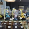Các sản phẩm chocolate được bày bán tại một cửa hàng ở Brussels, Bỉ. (Ảnh: AFP/TTXVN)