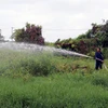 Vận hành máy bơm nước chữa cháy rừng ở Vườn quốc gia U Minh Thượng, Kiên Giang. (Ảnh: Lê Huy Hải/TTXVN)