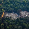 Khoảng rừng Amazon bị chặt phá tại Altamira, bang Para, Brazil. (Ảnh: AFP/TTXVN)