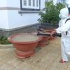 Phun hóa chất diệt muỗi tại nhà dân, khu dân cư. (Ảnh: TTXVN)