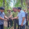 Chủ tịch UBND tỉnh Cà Mau Huỳnh Quốc Việt (bìa trái) cùng các đơn vị, các chủ rừng kiểm tra độ ẩm của lớp thực bì dưới tán rừng U Minh Hạ. (Ảnh: Huỳnh Anh/TTXVN)