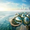 Rừng ngập mặn Dubai được coi là dự án tái tạo bờ biển lớn nhất thế giới. (Nguồn: URB)