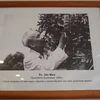 Chủ tịch Hồ Chí Minh đã để lại “dấu ấn xanh” trên Cây Hữu nghị năm 1959. (Ảnh: Duy Trinh/TTXVN)