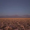 Bãi muối trên sa mạc Atacama tại nhà máy lithium Sociedad Química y Minera de Chile. (Nguồn: NRDC)
