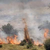 Rocket được bắn từ phía Liban rơi xuống miền Bắc Israel, gây hỏa hoạn ngày 12/6/2024. (Ảnh: AFP/TTXVN)