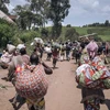 Người dân rời bỏ nhà cửa do lo ngại các cuộc tấn công của phiến quân tại Rutshuru, tỉnh Bắc Kivu, CHDC Congo, ngày 26/10/2023. (Ảnh: AFP/TTXVN)
