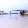 Mực nước sông Lô qua thành phố Tuyên Quang dâng cao. (Ảnh: Quang Cường/TTXVN)