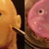 Khuôn mặt robot 2D (phải) được bao phủ bởi lớp da từ tế bào người với nụ cười "khá dị." (Ảnh do Shoji Takeuchi, Giáo sư tại Đại học Tokyo cung cấp)