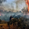 Lính cứu hỏa nỗ lực dập lửa cháy rừng tại Agioi Theodori, cách thủ đô Athens của Hy Lạp 70km về phía Tây ngày 22/6. (Ảnh: Getty Images/ TTXVN)