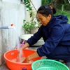 Người dân xã Mỹ Trạch (Bố Trạch, Quảng Bình) vui mừng khi được sử dụng nguồn nước sạch. (Ảnh: Tá Chuyên/TTXVN)
