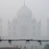 Khói mù ô nhiễm bao phủ dày đặc tại Agra, Ấn Độ, ngày 7/11/2023. (Ảnh: AFP/TTXVN)