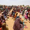 Người tị nạn Sudan sơ tán tránh xung đột tại các trại tạm ở Koufroun, CH Chad. (Ảnh: Reuters)