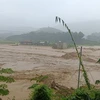 Khoảng 1.000ha lúa, cỏ chăn nuôi, ao cá tại 28 xã trên địa bàn huyện Thuận Châu bị ngập, nhiều căn nhà bị cuốn trôi, một số tuyến đường bị ngập, sạt lở. (Ảnh: TTXVN phát)