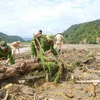 Cán bộ, chiến sỹ Công an tỉnh Điện Biên tìm kiếm các nạn nhân mất tích do mưa lũ. (Ảnh: Xuân Tư/TTXVN)