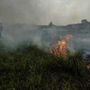 Hiện trường vụ cháy rừng tại Kampar, Riau, Indonesia, ngày 11/10/2019. (Ảnh: THX/ TTXVN)