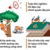 Thực hiện sớm các biện pháp nhằm giảm thiểu thiệt hại do mưa bão